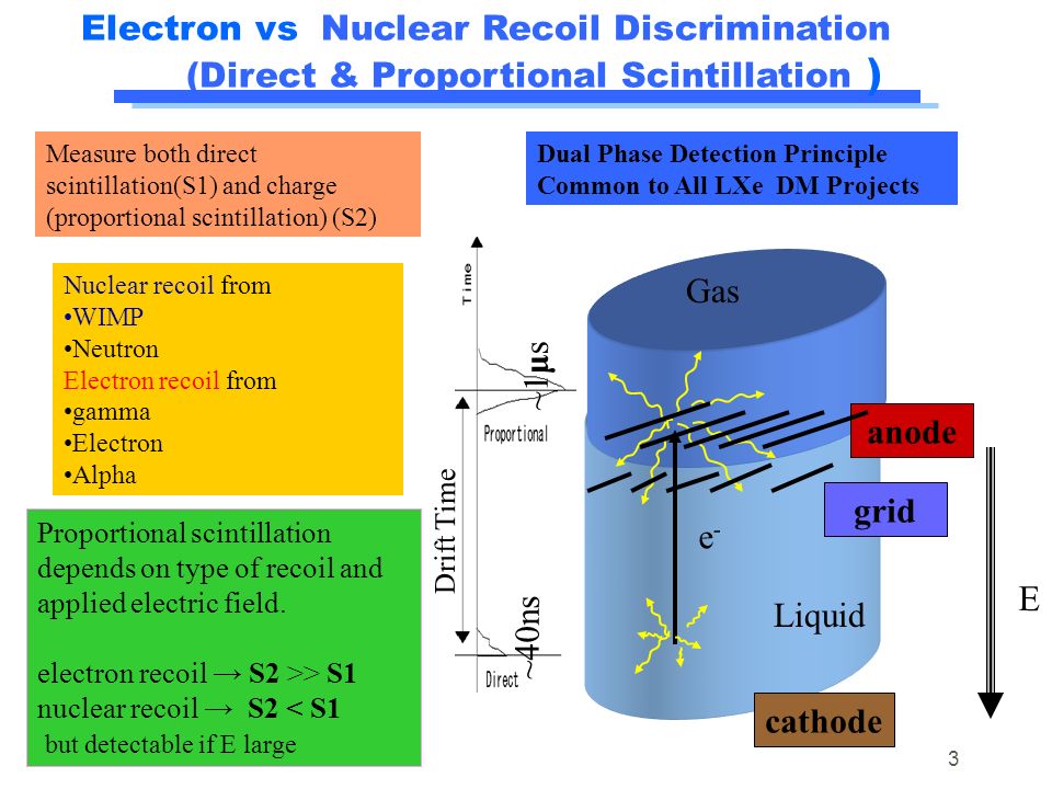 Electron vs Nuclear Recoil Discrimination