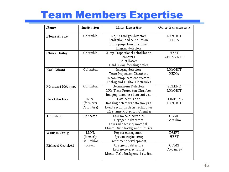 Team Members Expertise