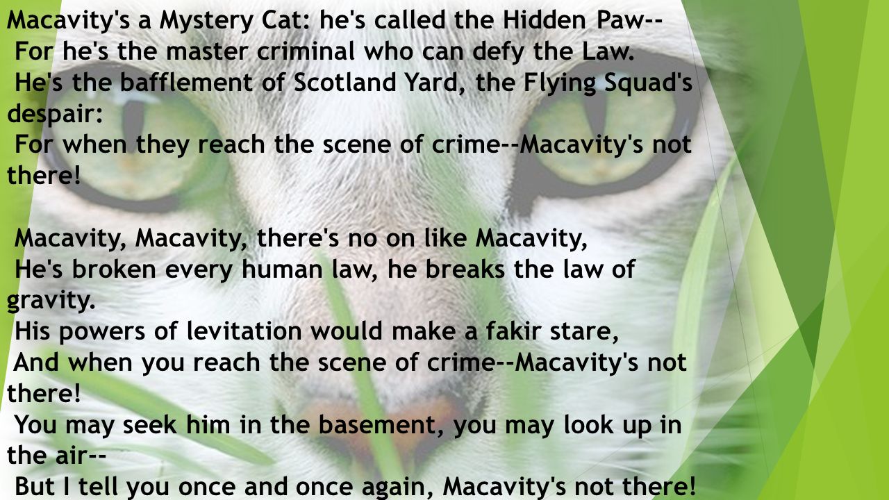 Macavity the Mystery Cat Notecard - Etsy Sweden