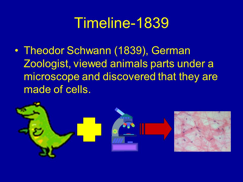 Meet the Scientists Developing the Cell Theory - ppt download