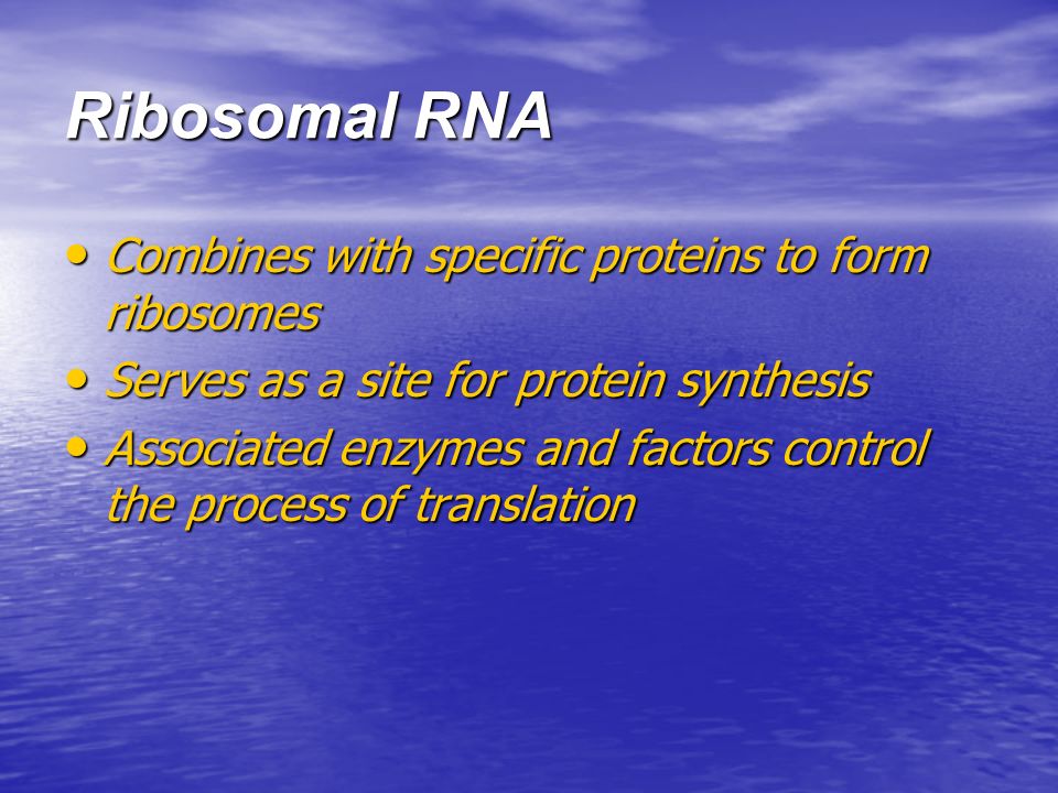 Transcription and Translation ppt video online download