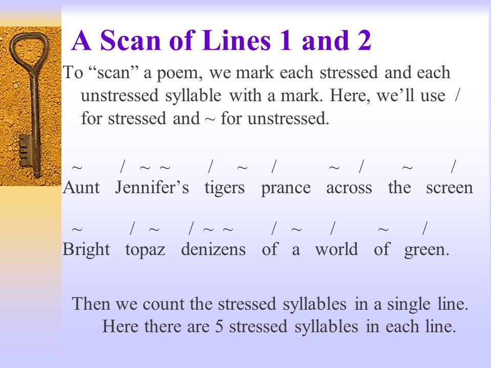 aunt jennifers tigers poem