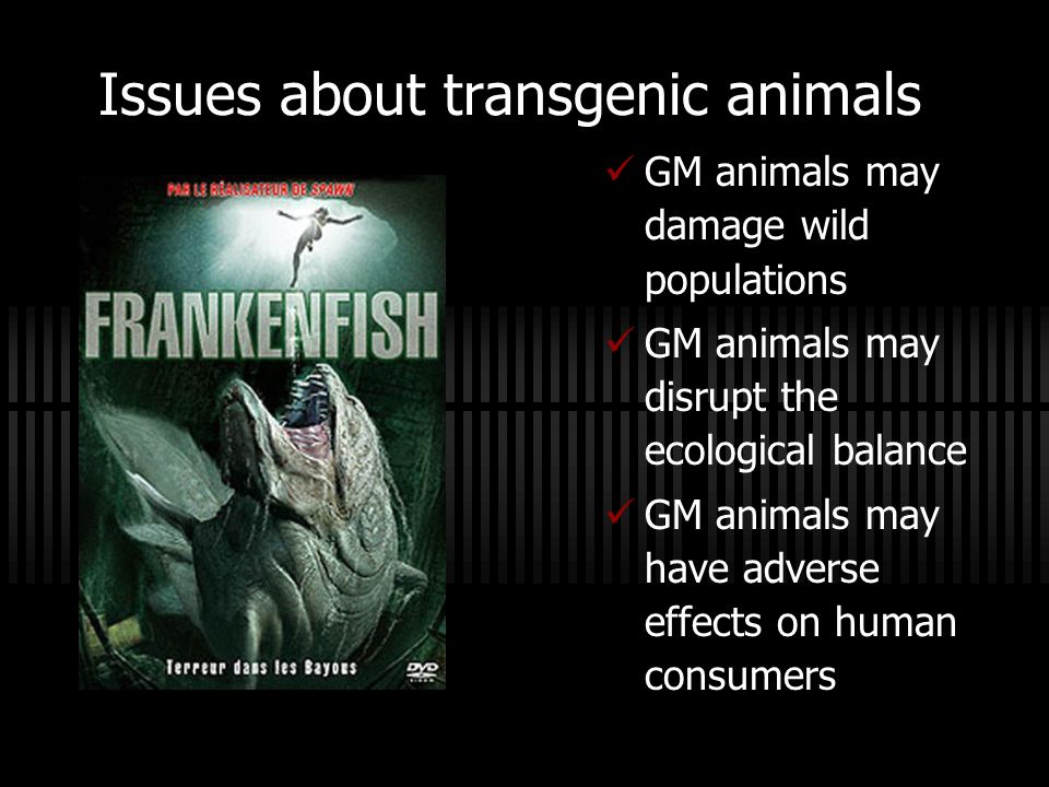 Issues about transgenic animals