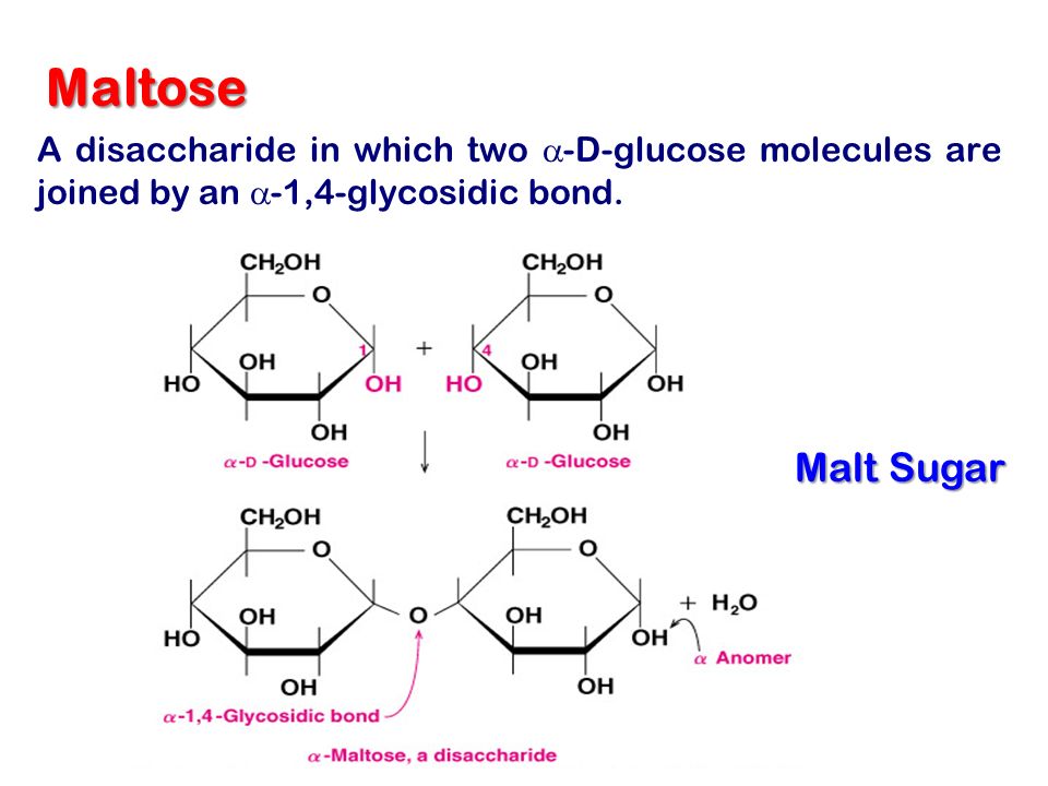 and galactose its structure online Monosaccharides Reduction ppt download video of and galactose its structure online Monosaccharides Reduction ppt download video of