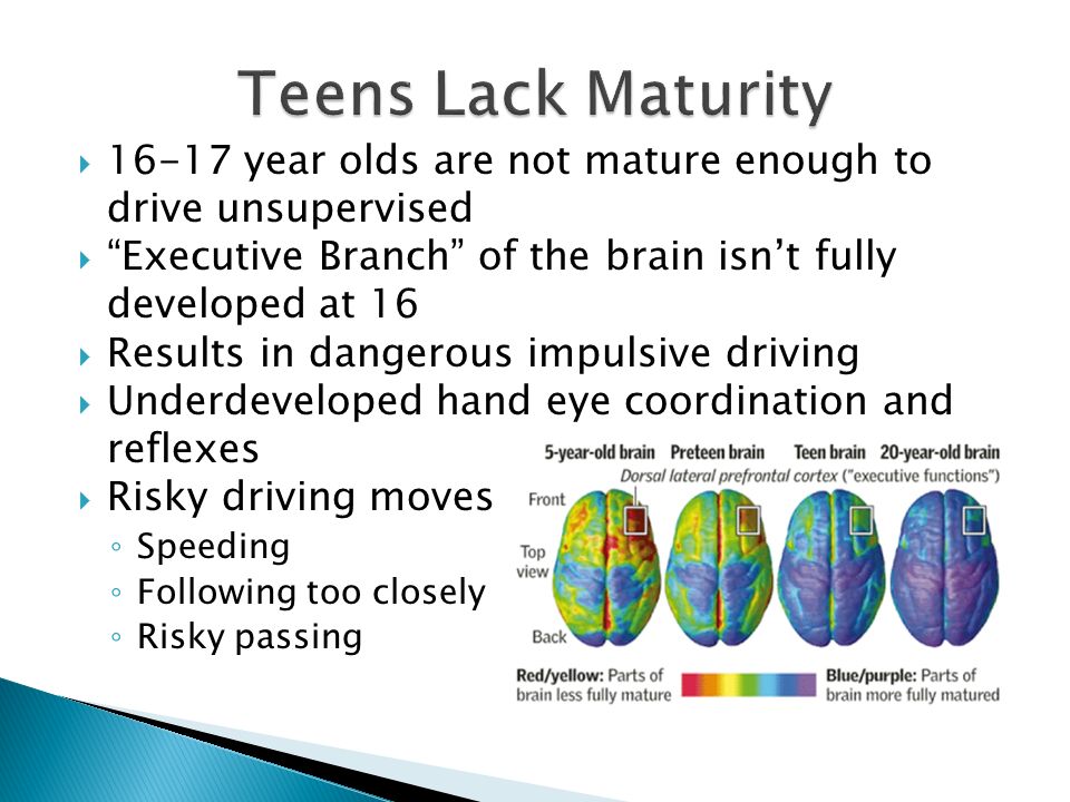 Teens Lack Maturity year olds are not mature enough to drive unsupervised. Executive Branch of the brain isn’t fully developed at 16.