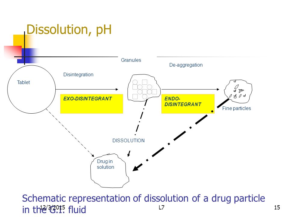 Dissolution, pH Tablet. Disintegration. De-aggregation. Granules. Fine particles. Drug in solution.