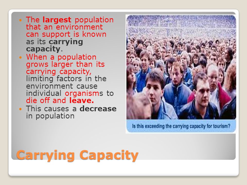 The largest population that an environment can support is known as its carrying capacity.