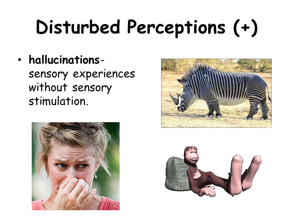 Disturbed Perceptions (+)
