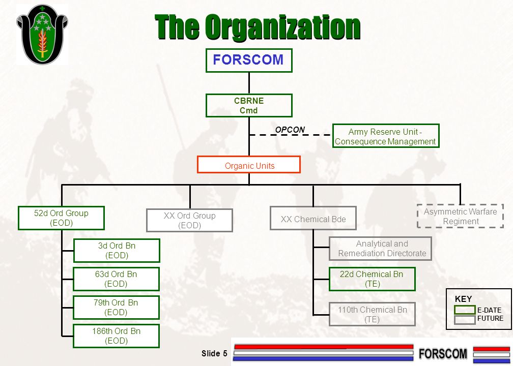 Forscom Organization Chart