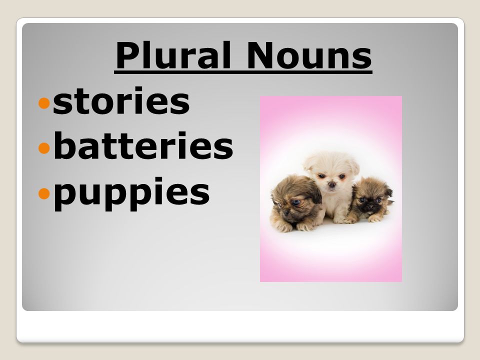 Plural Nouns stories batteries puppies