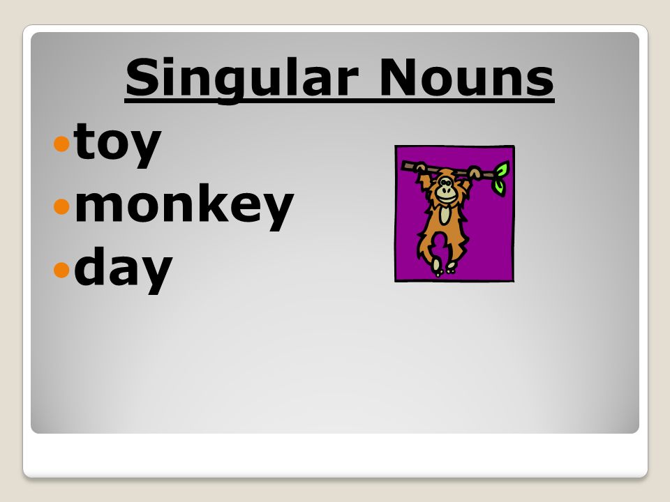 Singular Nouns toy monkey day
