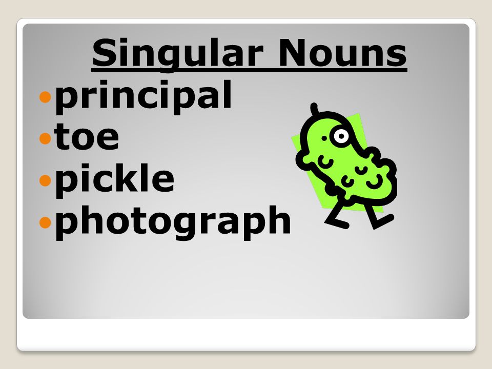 Singular Nouns principal toe pickle photograph