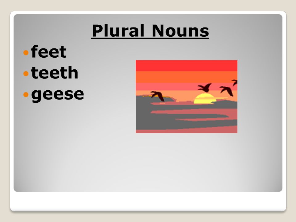 Plural Nouns feet teeth geese