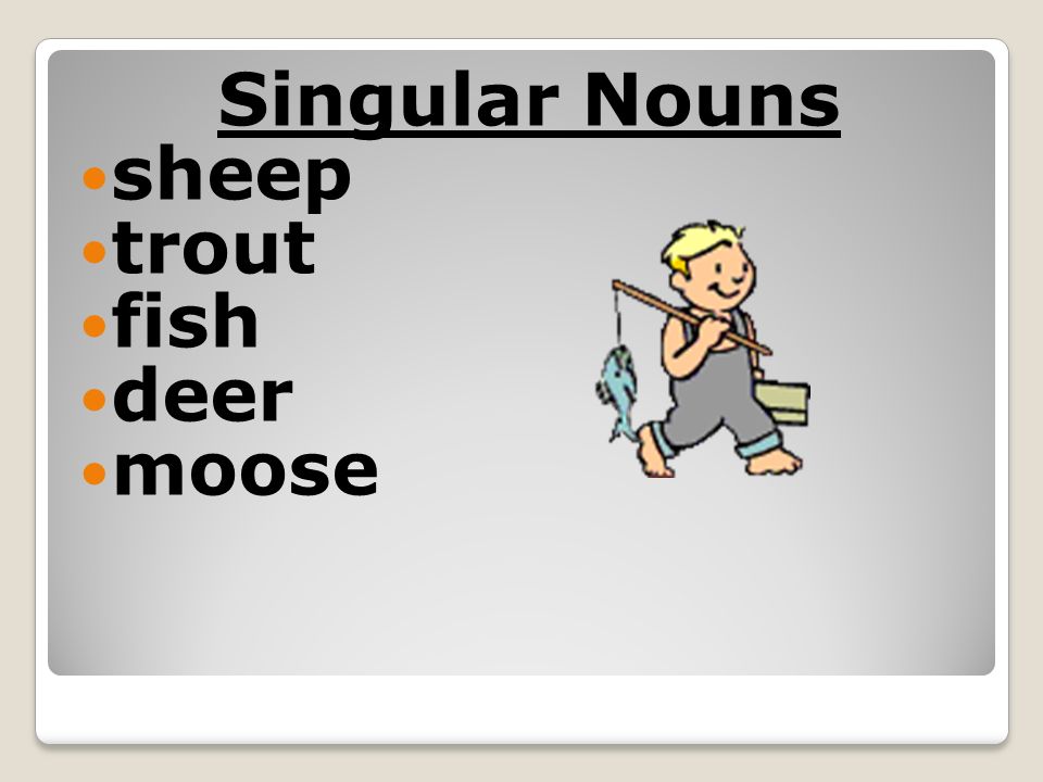 Singular Nouns sheep trout fish deer moose