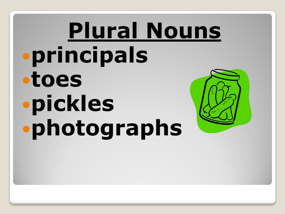 Plural Nouns principals toes pickles photographs