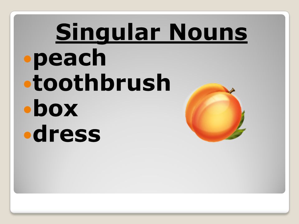 Singular Nouns peach toothbrush box dress