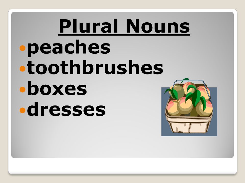 Plural Nouns peaches toothbrushes boxes dresses