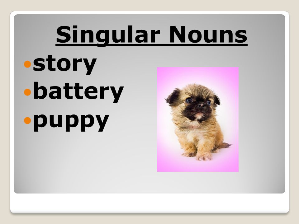 Singular Nouns story battery puppy