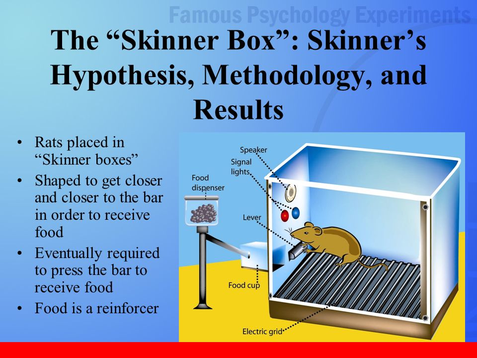 B.F. Skinner and Operant Conditioning - ppt video online download