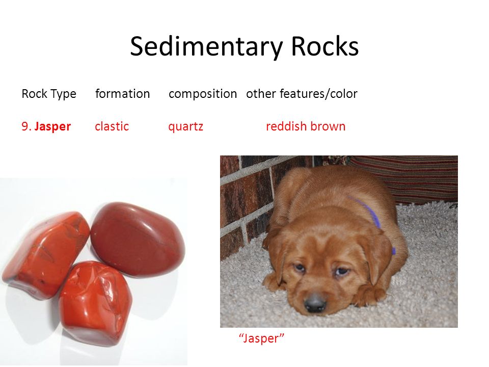 Sedimentary Rocks Rock Type formation composition other features/color 9.