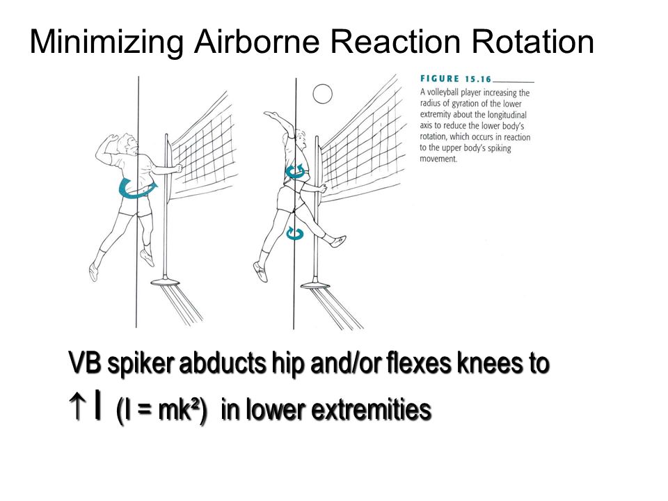 Minimizing Airborne Reaction Rotation