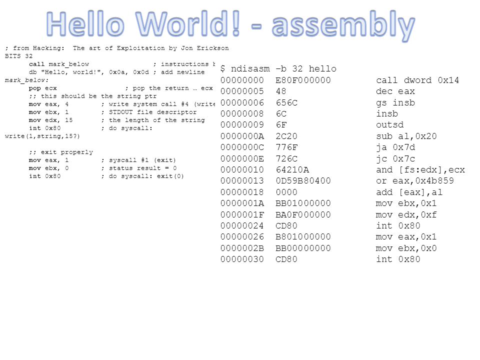 Hello World! - assembly $ ndisasm –b 32 hello