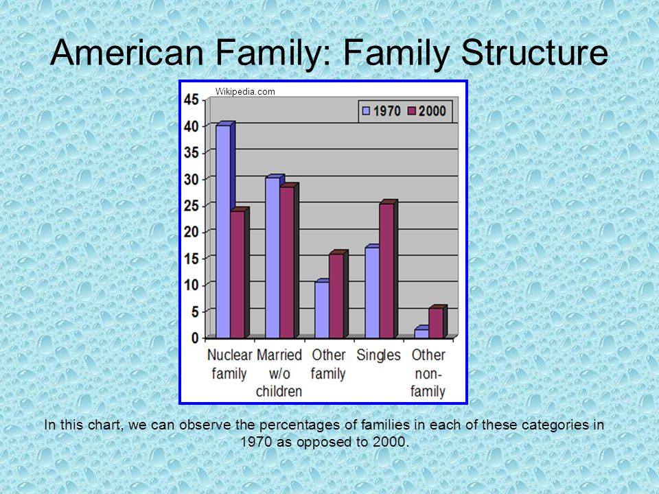 typical american family structure