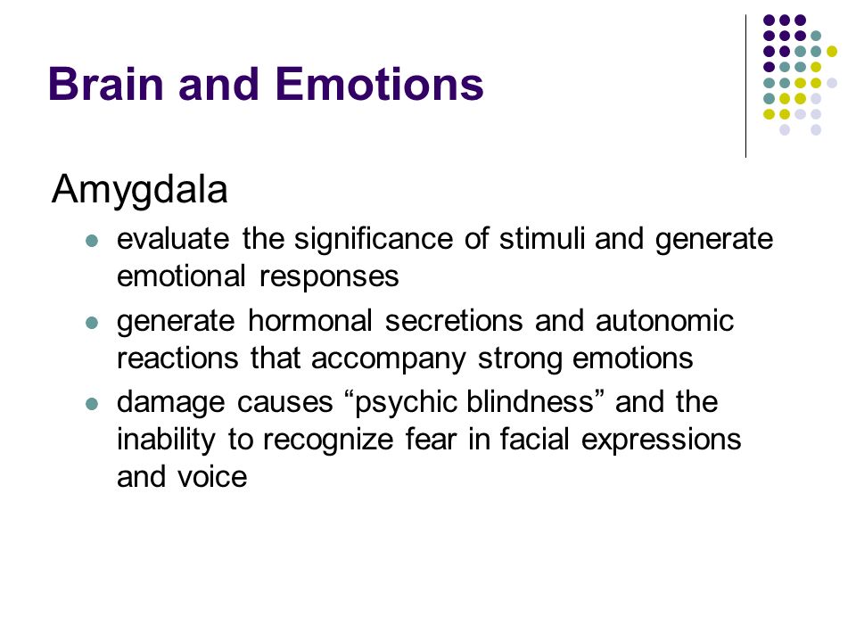 Brain and Emotions Amygdala
