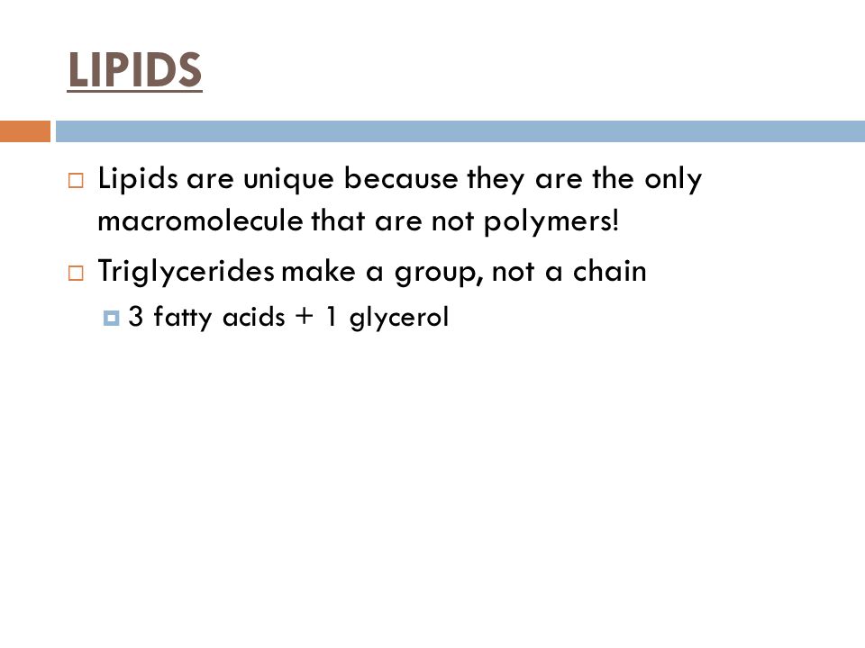LIPIDS Lipids are unique because they are the only macromolecule that are not polymers! Triglycerides make a group, not a chain.