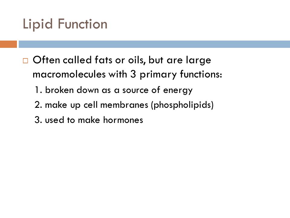Lipid Function Often called fats or oils, but are large macromolecules with 3 primary functions: 1. broken down as a source of energy.