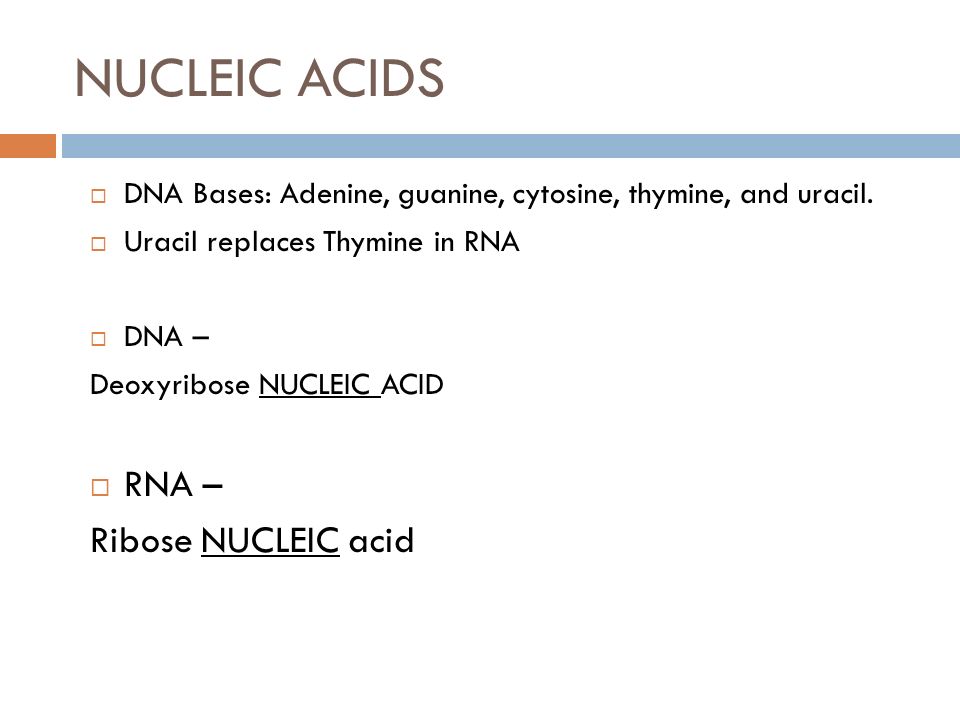 NUCLEIC ACIDS RNA – Ribose NUCLEIC acid