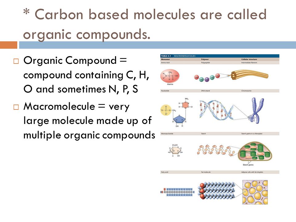 * Carbon based molecules are called organic compounds.
