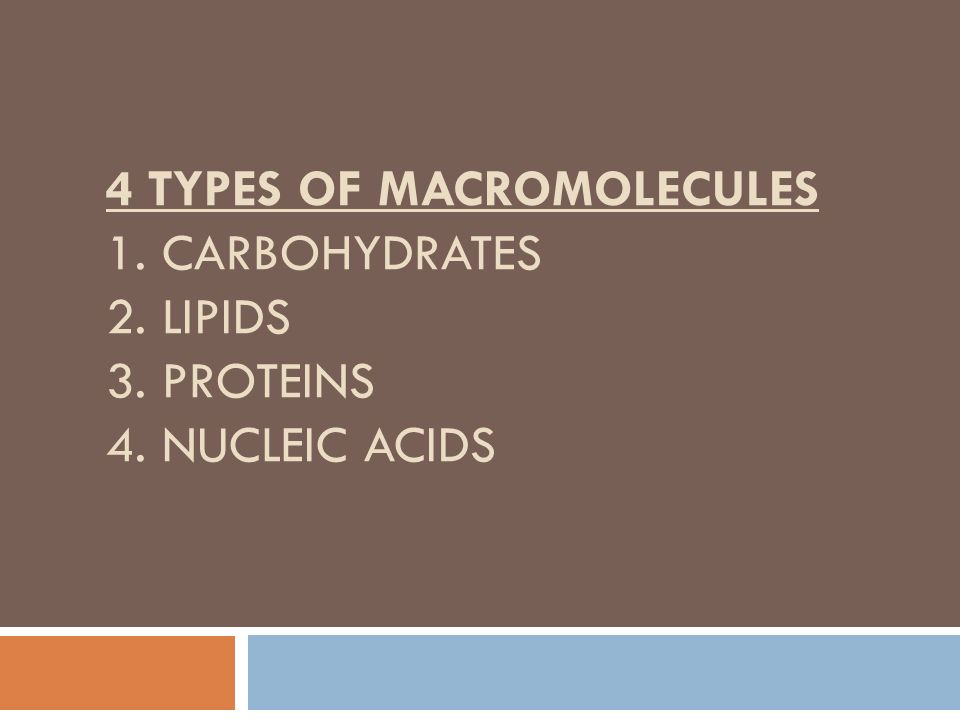4 Types of Macromolecules 1. Carbohydrates 2. Lipids 3. Proteins 4