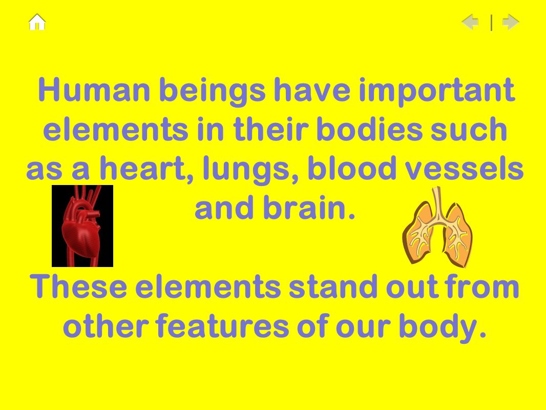 Human beings have important elements in their bodies such as a heart, lungs, blood vessels and brain.