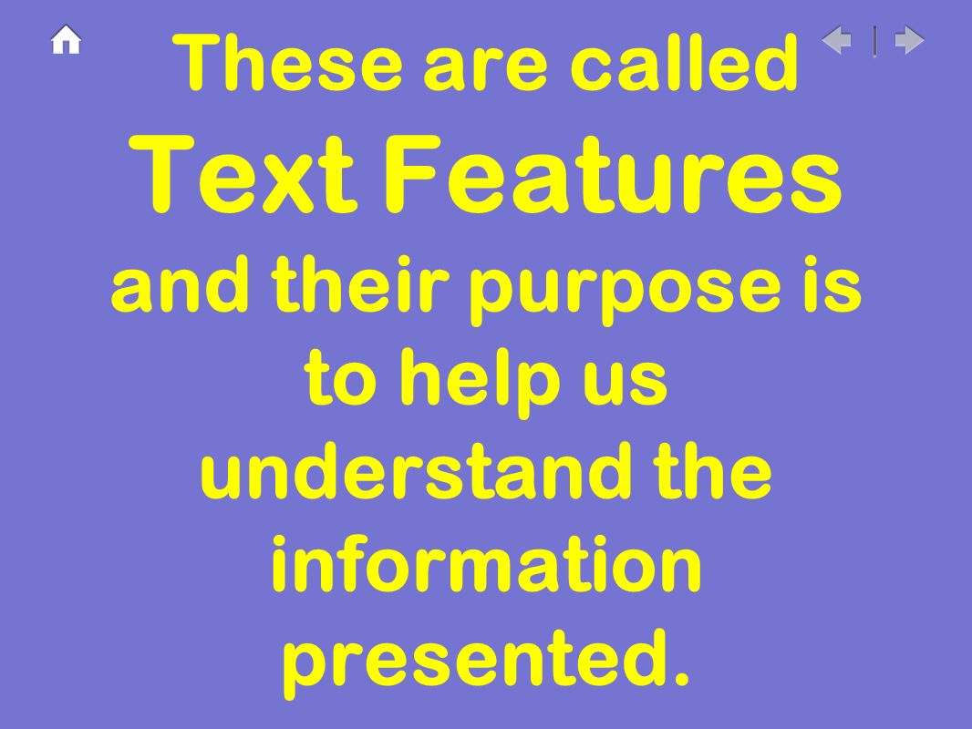 These are called Text Features and their purpose is to help us understand the information presented.