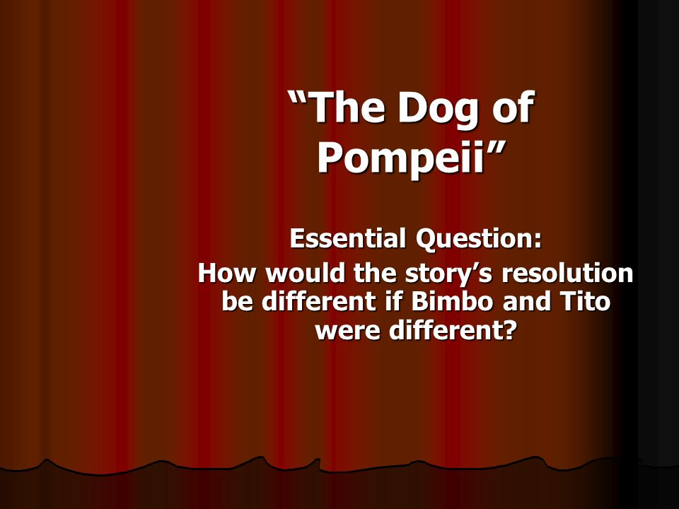 The Dog of Pompeii Essential Question: