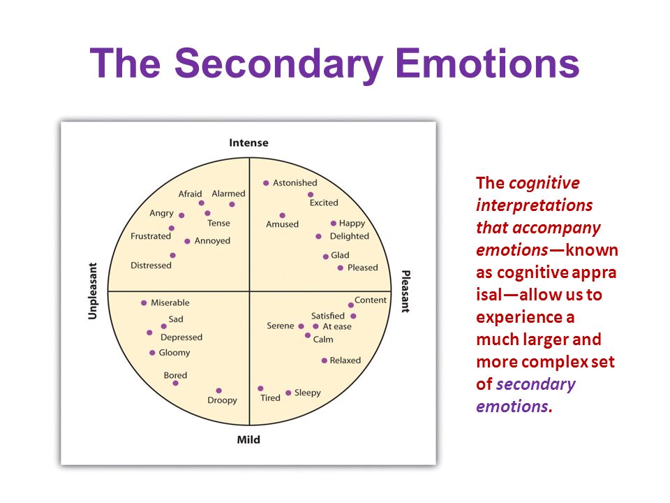 emotions—known as cognitive appraisal—allow us to experience a much larger ...