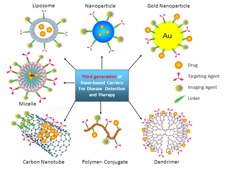 Targeted agents. Nanoparticle. Gold Nanoparticles. Polymeric Nanoparticles. Carbon Nanoparticle.