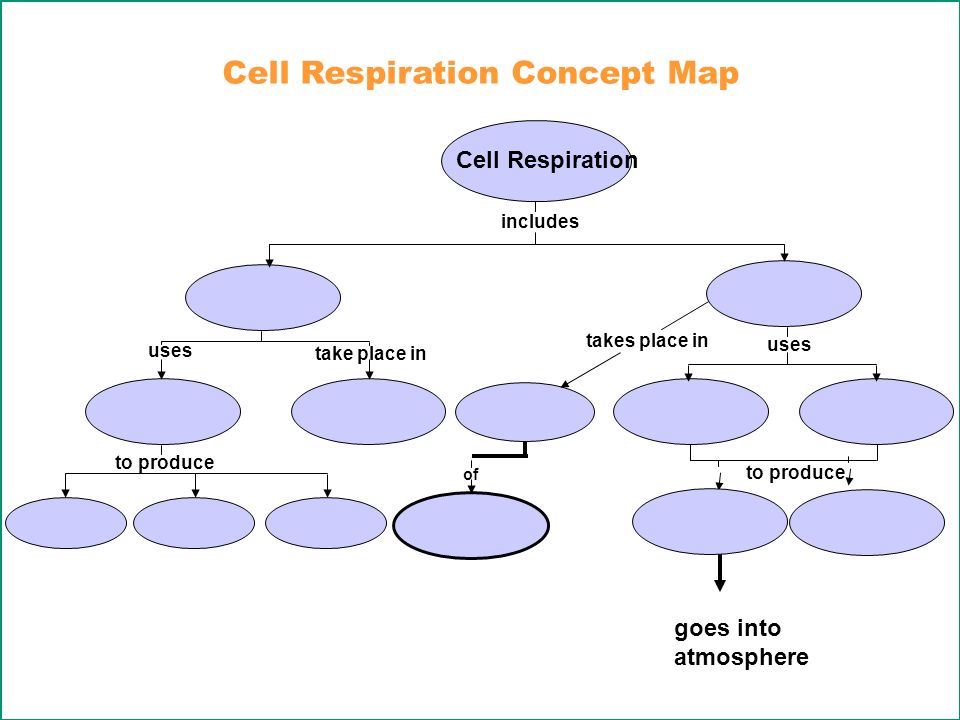photosynthesis trapping energy concept map Unit 4 Cell Energy P 20 Sb3 A Explain The Cycling Of Energy photosynthesis trapping energy concept map