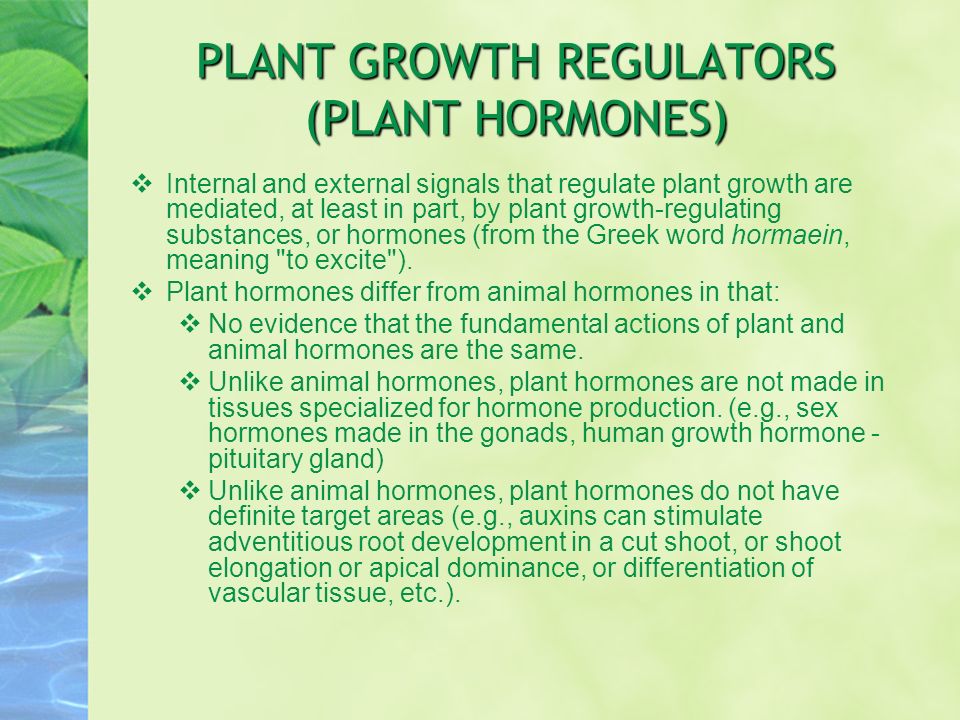 PLANT HORMONES. - ppt download