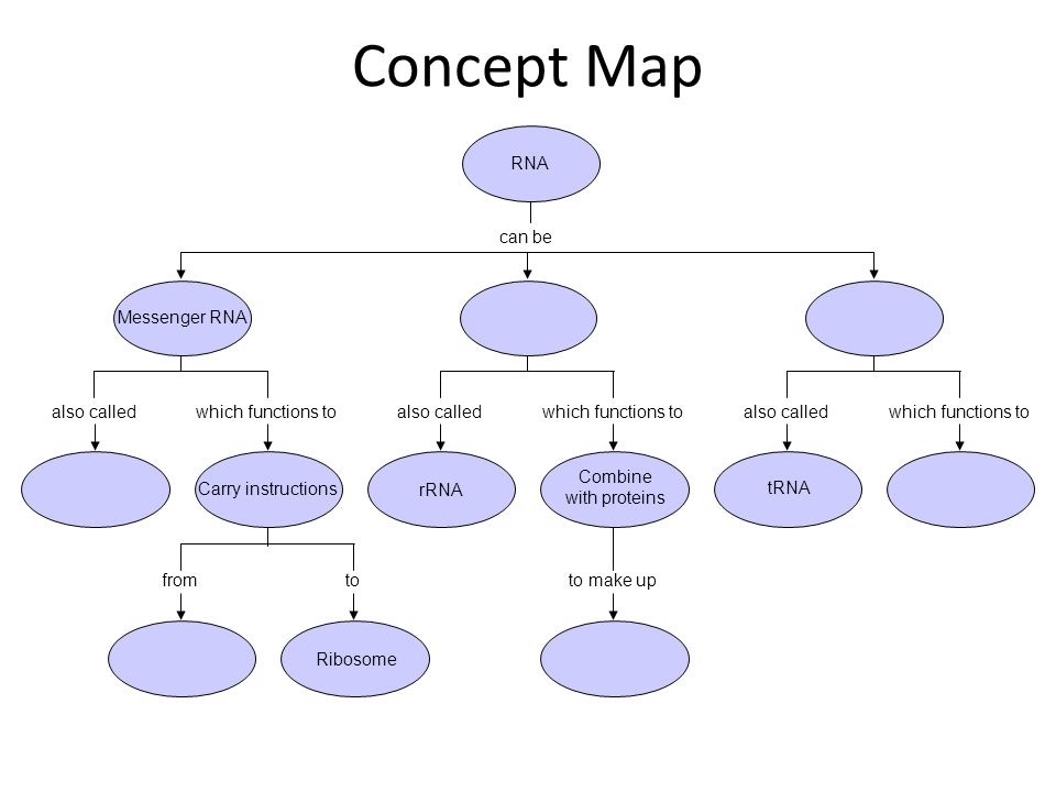 Concept Map Section 12-3 Go to Section: RNA can be Messenger RNA.