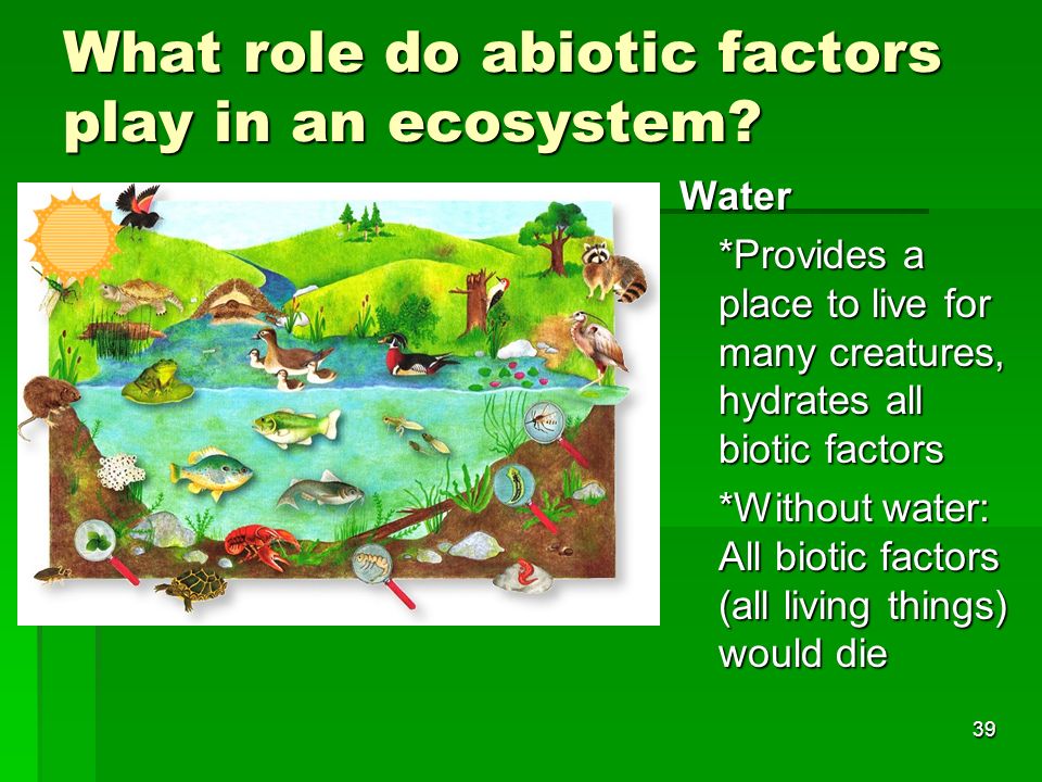 Presentation on theme: "Biotic and Abiotic factors"- Presentation...