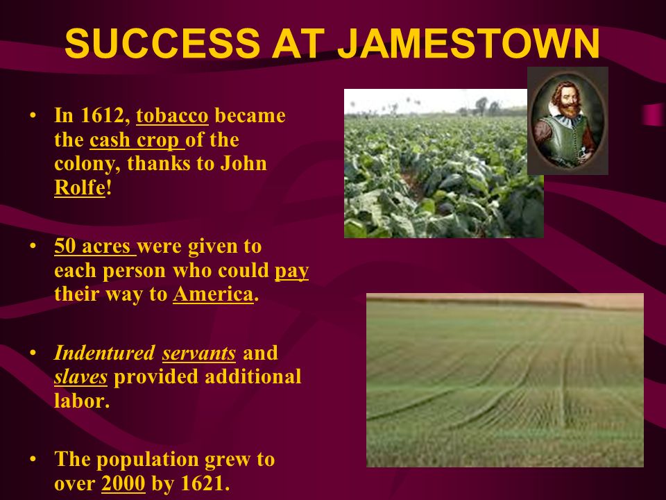 why was jamestown successful