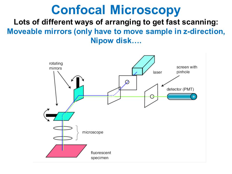 Confocal Microscopy Lots of different ways of arranging to get fast scanning: Moveable mirrors (only have to move sample in z-direction, Nipow disk….