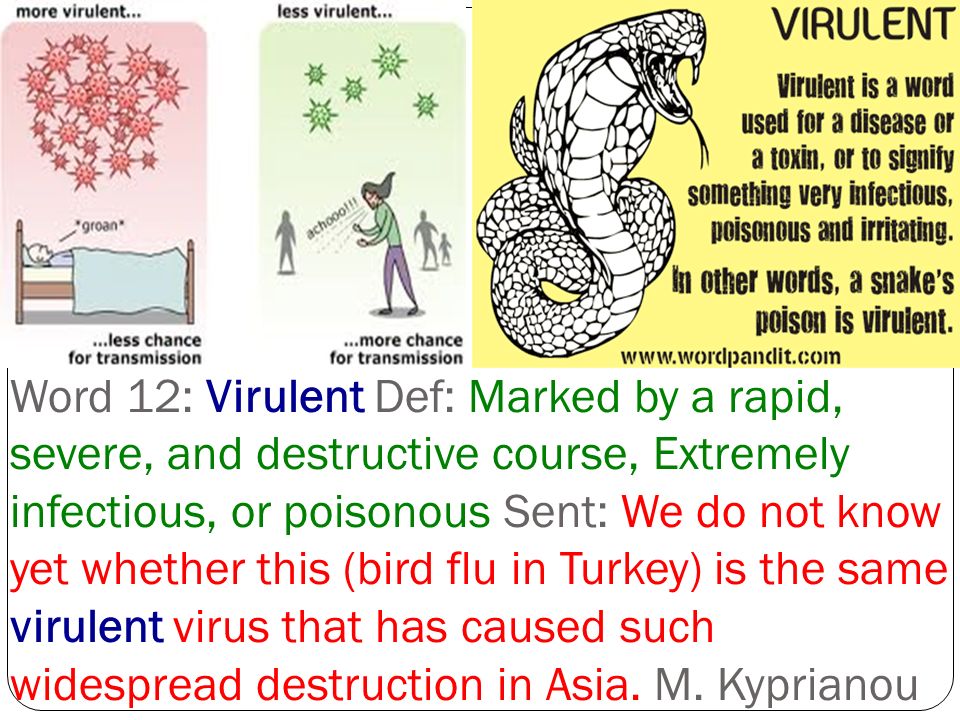Vocabulary Week 29 Gold Ppt Video Online Download From the american heritage® dictionary of the english language, 5th edition. vocabulary week 29 gold ppt video