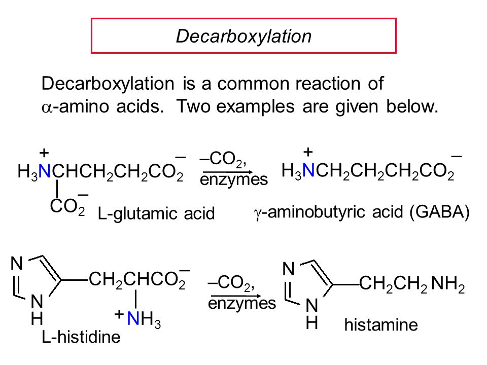 Реакция d n. Decarboxylation of Amino acids. Decarboxylation of Amino acids Coash. Аминос=кислоты. Decarboxylation of Amino acids cofactor.