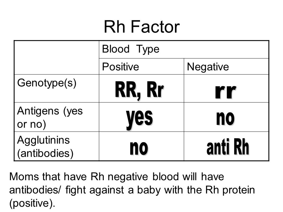 Rh Factor RR, Rr rr yes no anti Rh no Blood Type Positive Negative.