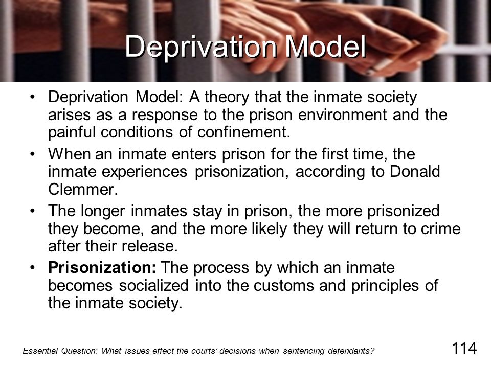 prisonization effect