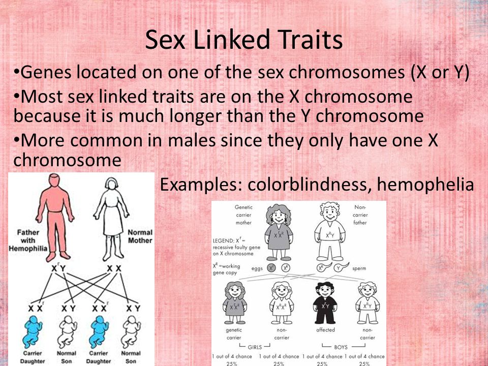 Sex Linked Traits Genes located on one of the sex chromosomes (X or Y) .