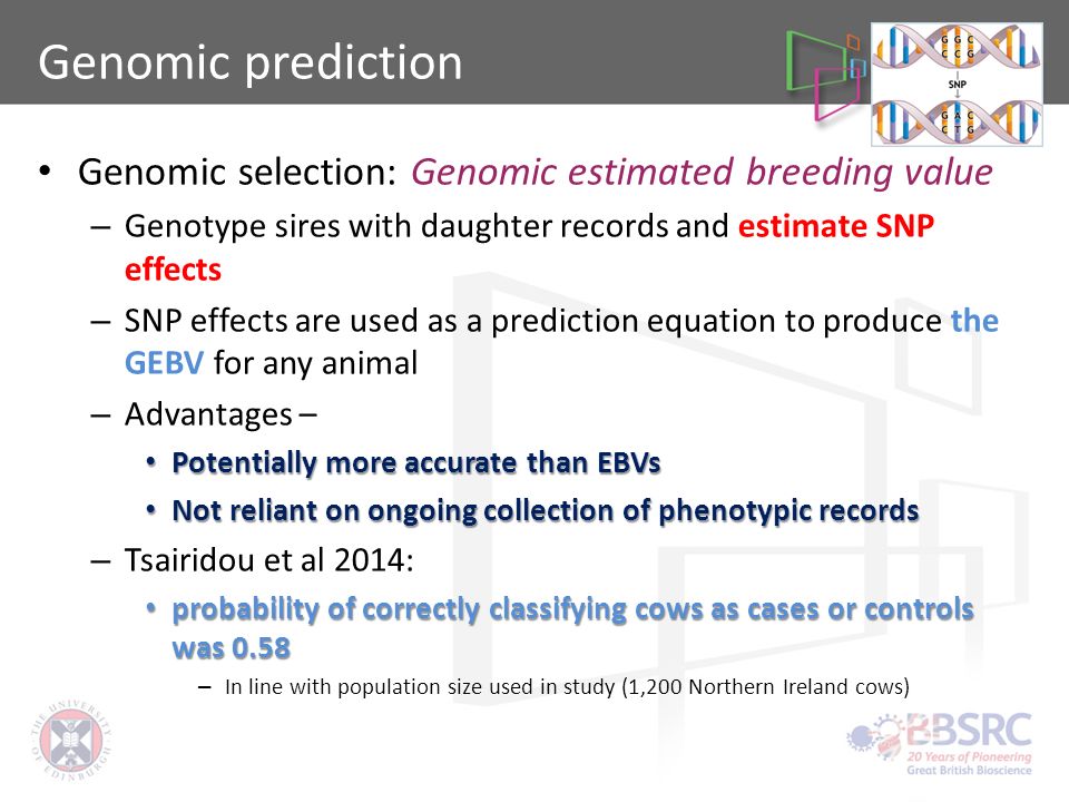 Genomic Estimated Breeding Value Definition